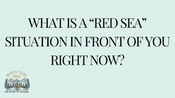 Lesson Slides - 12 What is a Red Sea.png