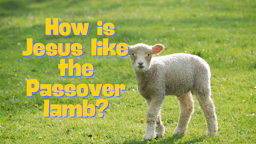 Slides - How is Jesus like the Passover lamb.png