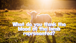 Slides - What do you think the blood repesented.png