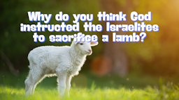 Slides - Why did God instruct to sacrifice a lamb.png