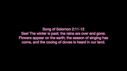 Slides - Song of Solomon .012.jpeg