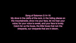 Slides - Song of Solomon .016.jpeg