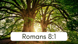 Slides - Romans 8_1.png