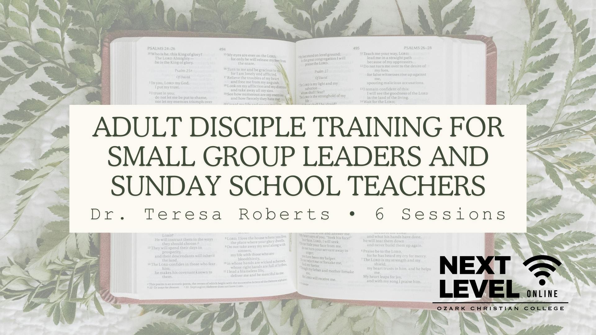 Adult Discipleship Training for Small Group leaders and Sunday School teachers