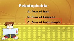 Game: Name That Phobia - 03 Answer