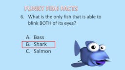 Game: Fish Facts - Answer 06