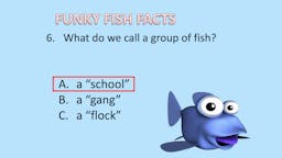 Game: Fish Facts - Answer 07
