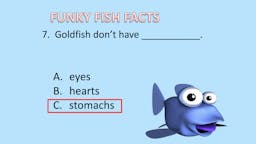 Game: Fish Facts - Answer 08