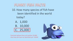 Game: Fish Facts - Answer 11