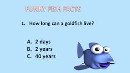 Game: Fish Facts - Question 01