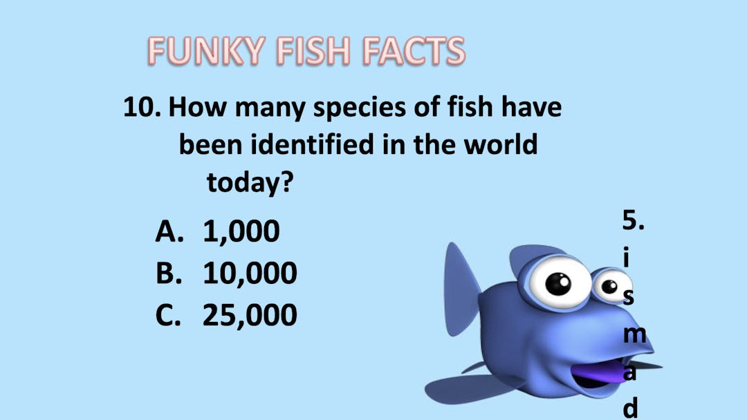 Game: Fish Facts