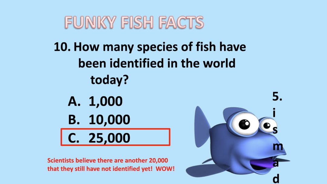 Game: Fish Facts