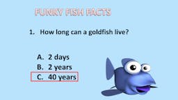 Game: Fish Facts - Answer 01