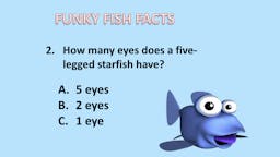 Game: Fish Facts - Question 02