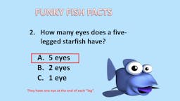 Game: Fish Facts - Answer 02