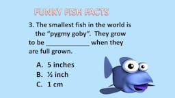 Game: Fish Facts - Question 03