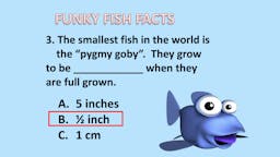Game: Fish Facts - Answer 03