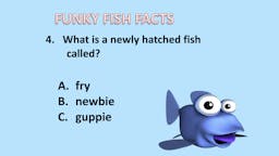 Game: Fish Facts - Question 04