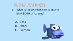 Game: Fish Facts - Question 06