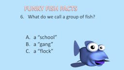 Game: Fish Facts - Question 07