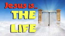 Illustrated Message: Jesus Is THE LIFE
